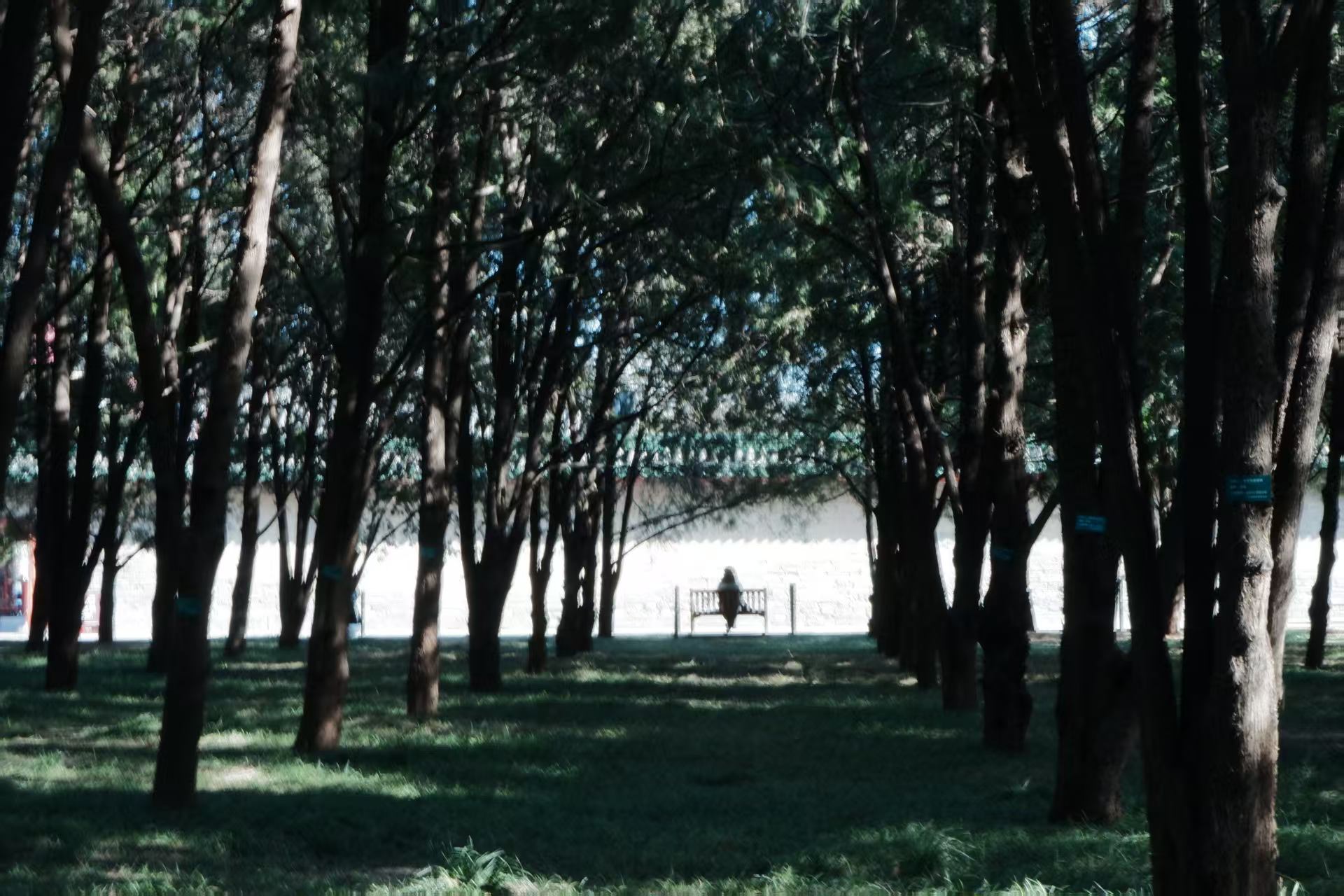 北京·地坛公园